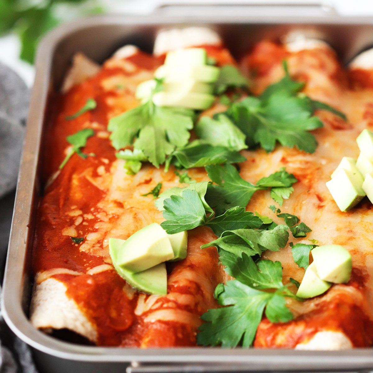 Enchiladas: S piščancem in zelenjavo polnjene tortilije s paradižnikovo omako in sirom
