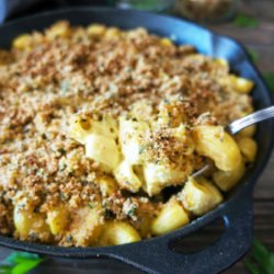 Veganski makarončki v “sirovi” omaki z dišavnim posipom